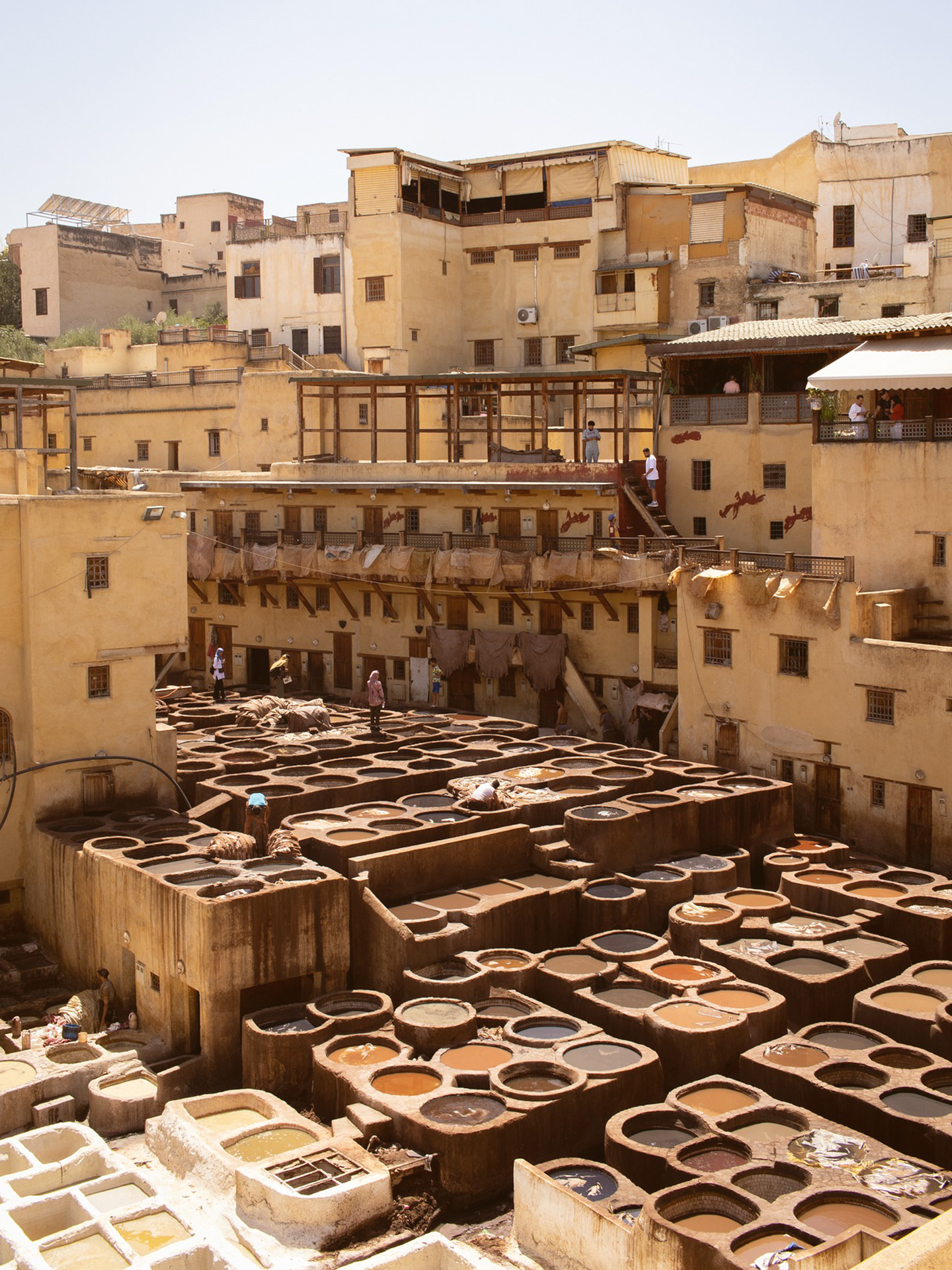things to do in fez