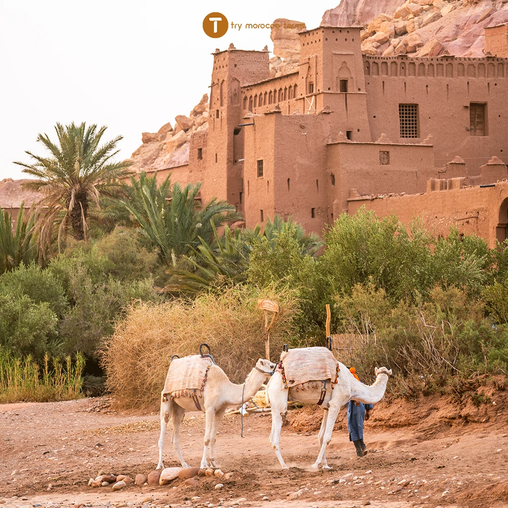 ait ben haddou game of thrones