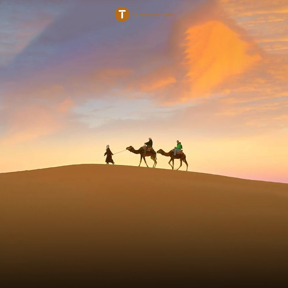 camel ride