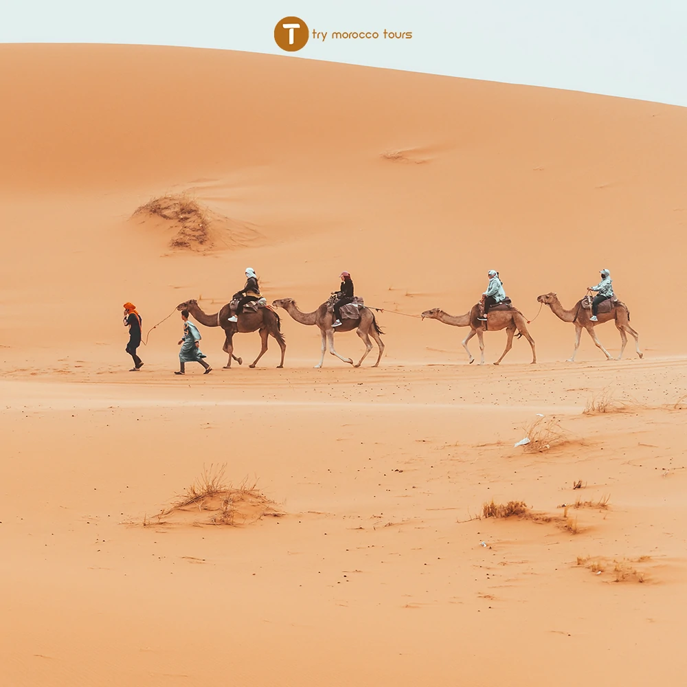 camel ride