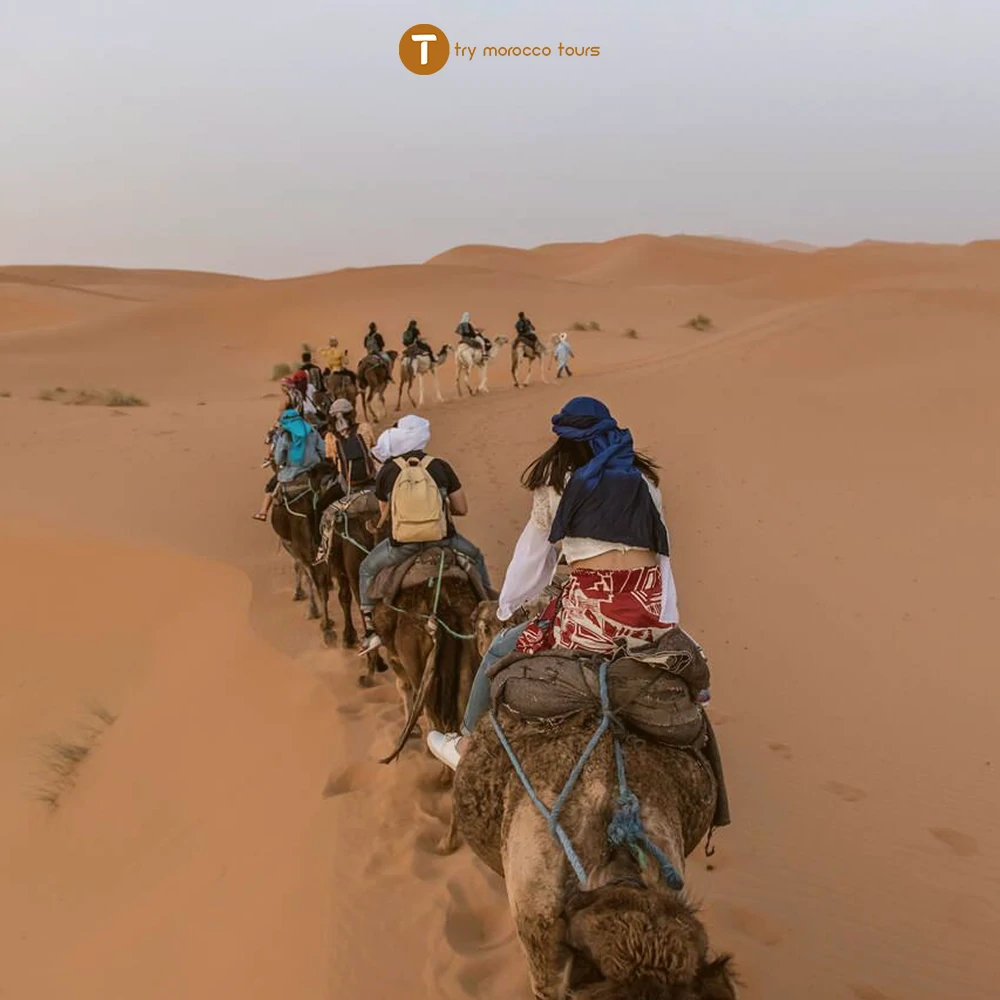 camel trekking in morocco