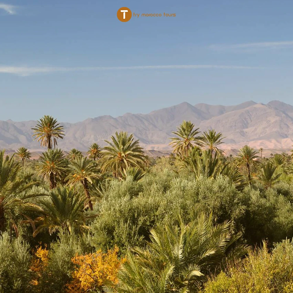 dades valley