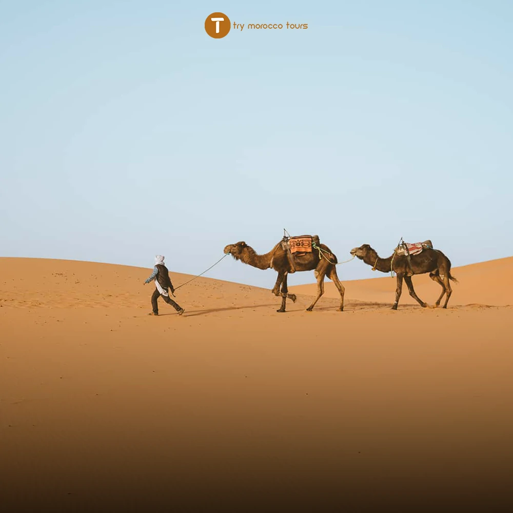 morocco sahara desert tours