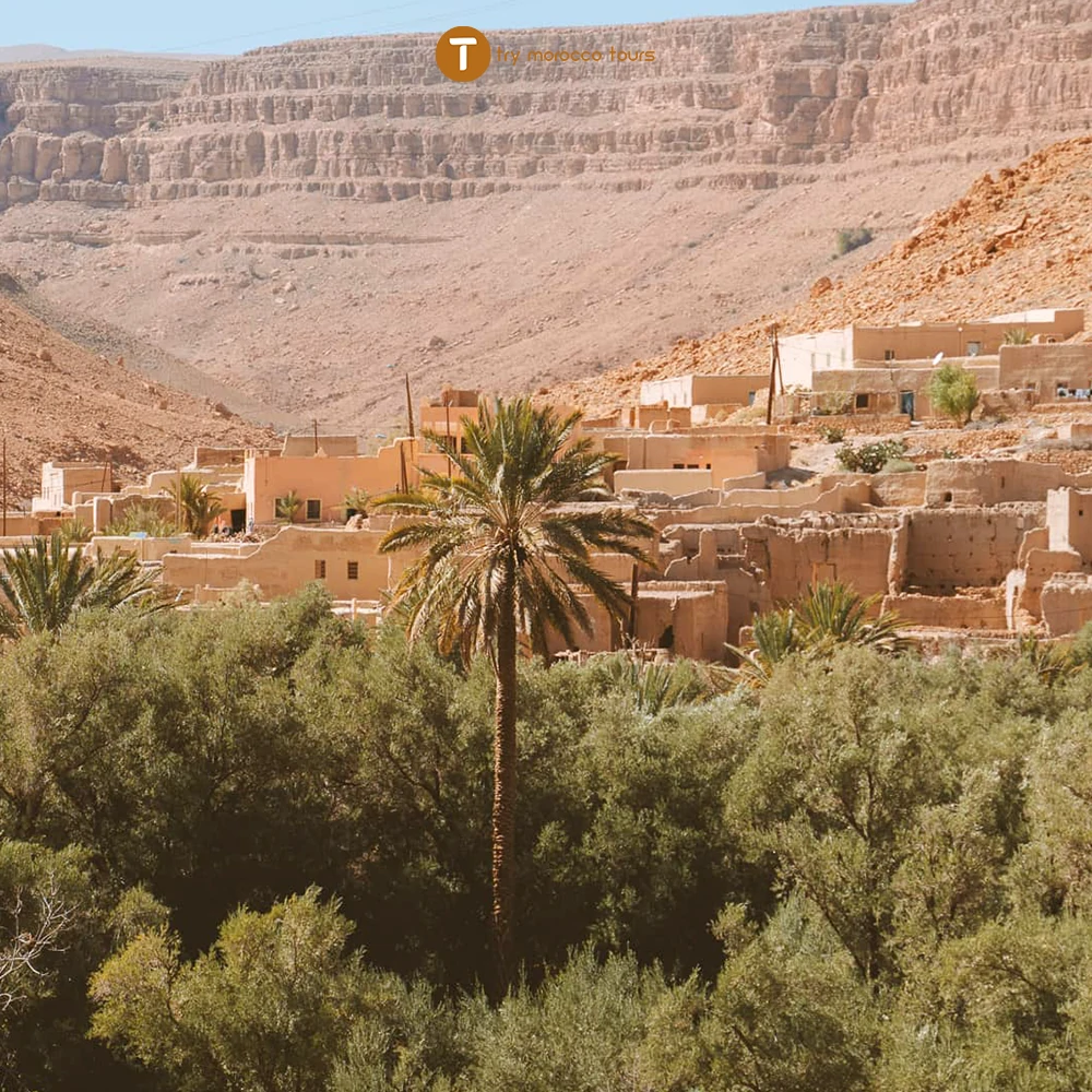 oasis morocco