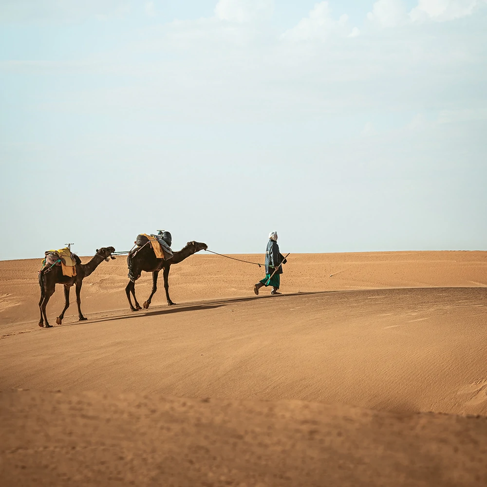 Fes to Marrakech Desert Tour