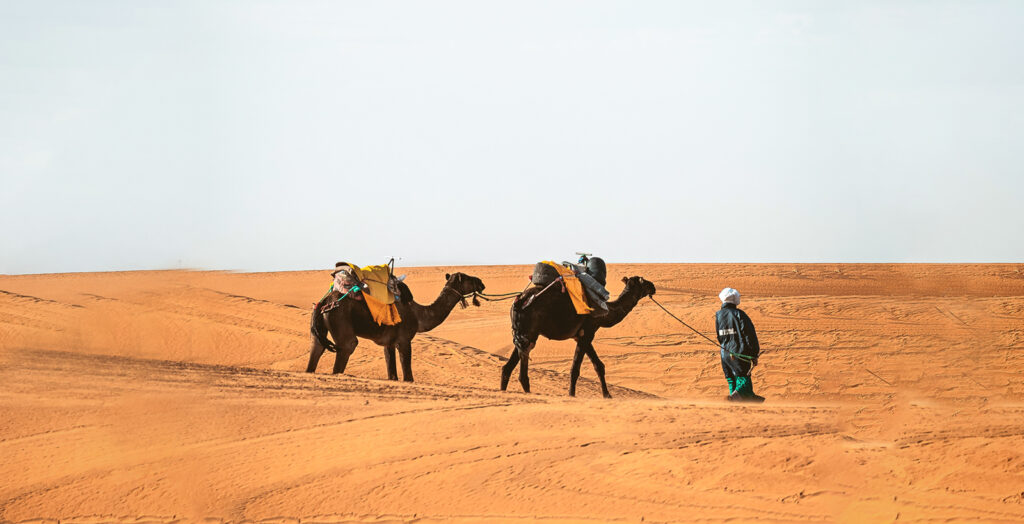 desert camp marrakech