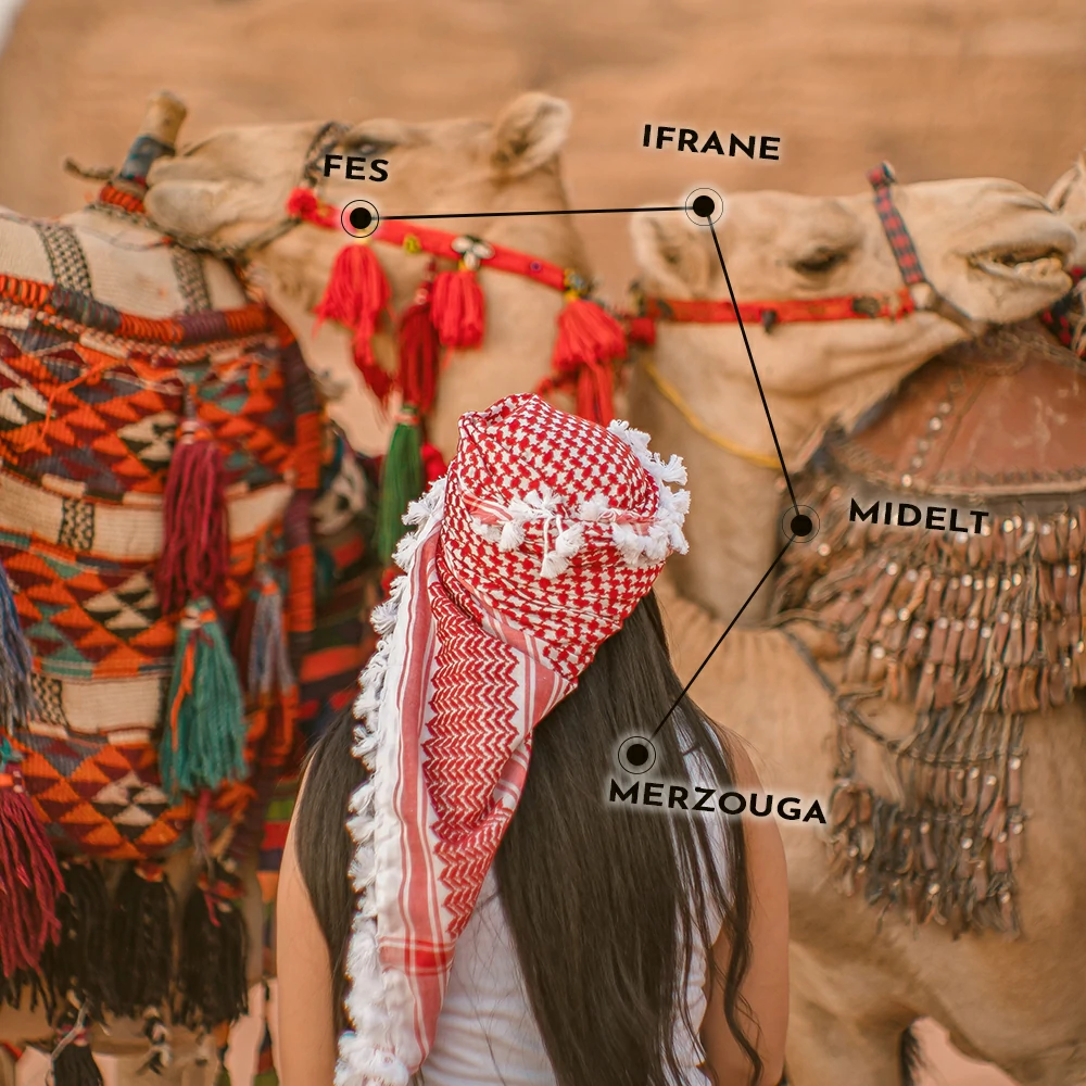 marrakech fes desert tour