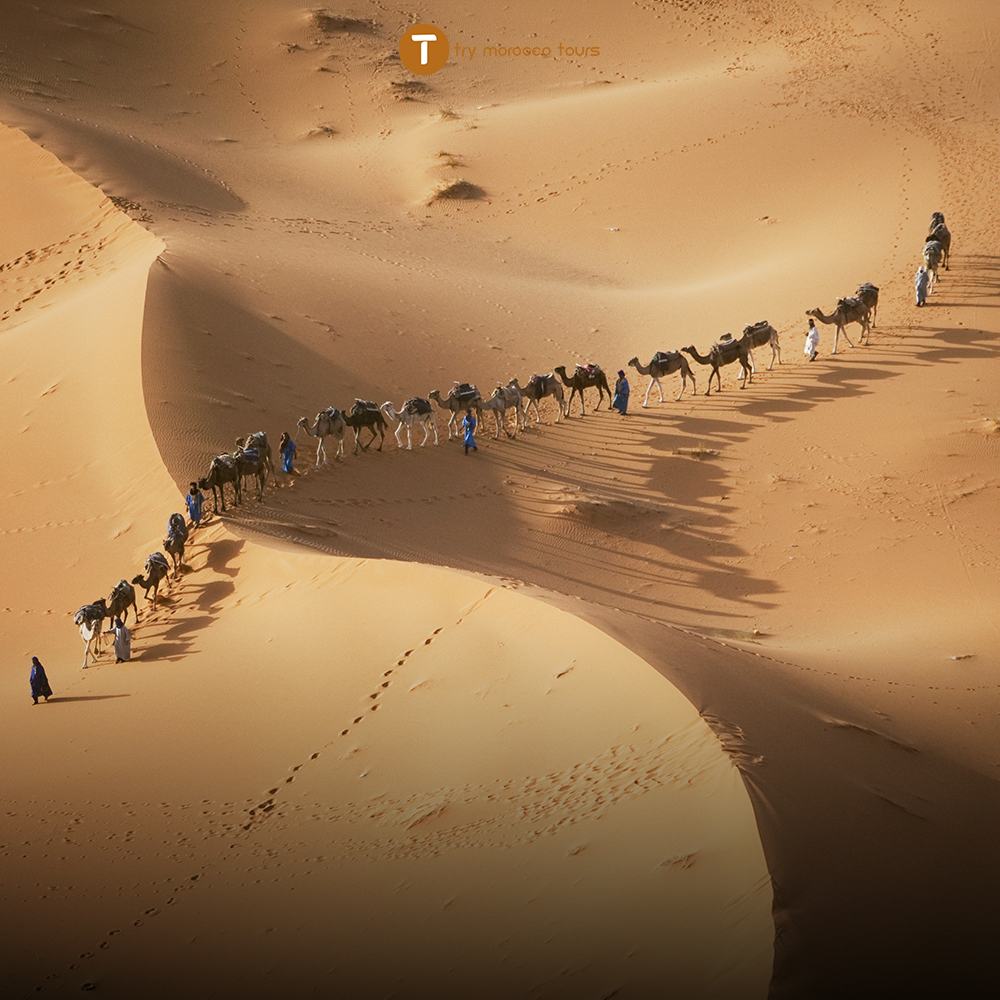 Errachidia Desert Tour
