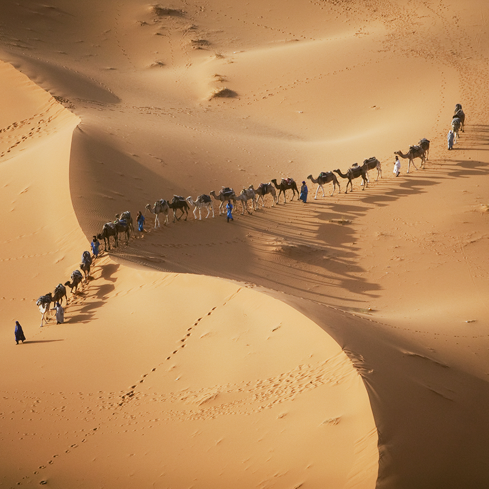 Errachidia Desert Tour