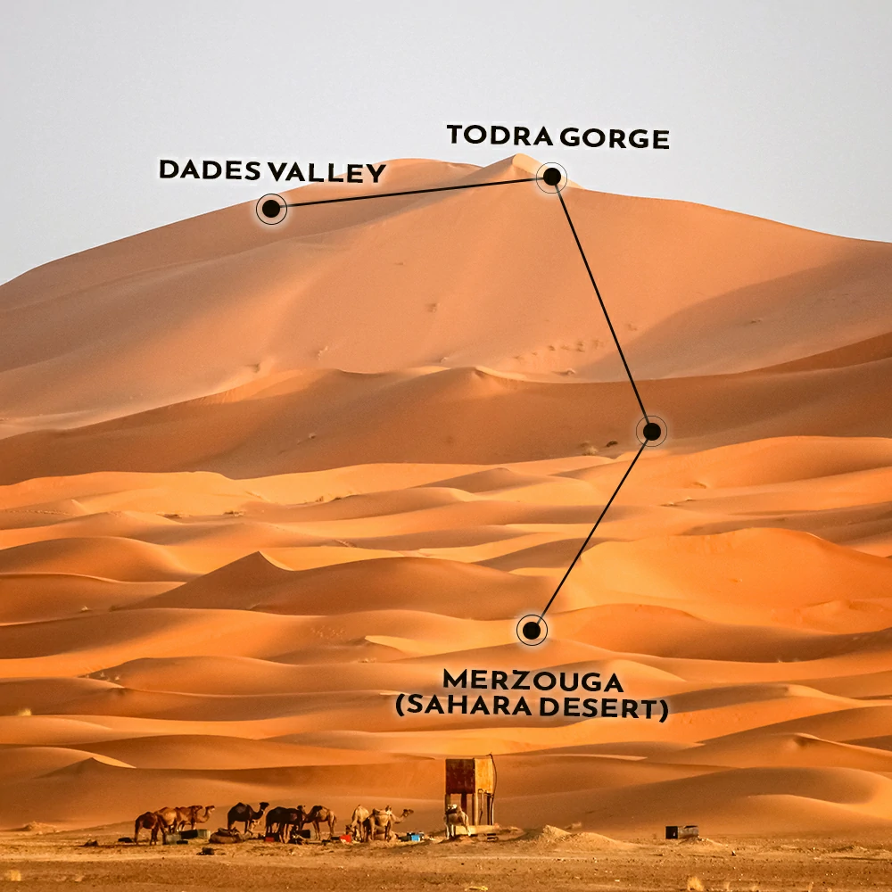 luxury trip to morocco