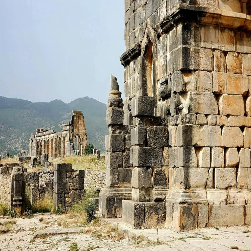 volubilis morocco