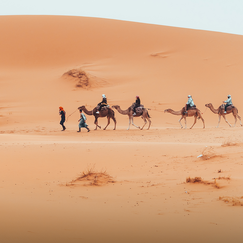 ride camel