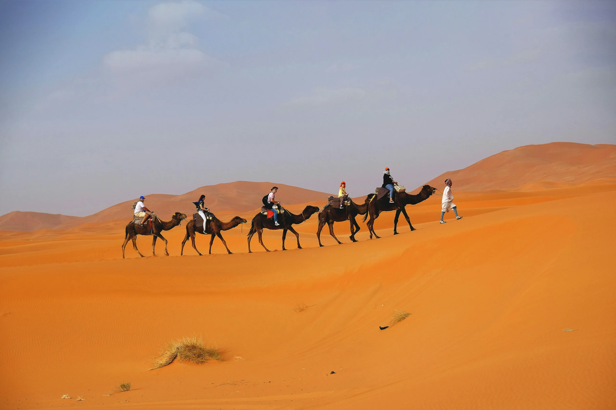 camel ride in the desert
