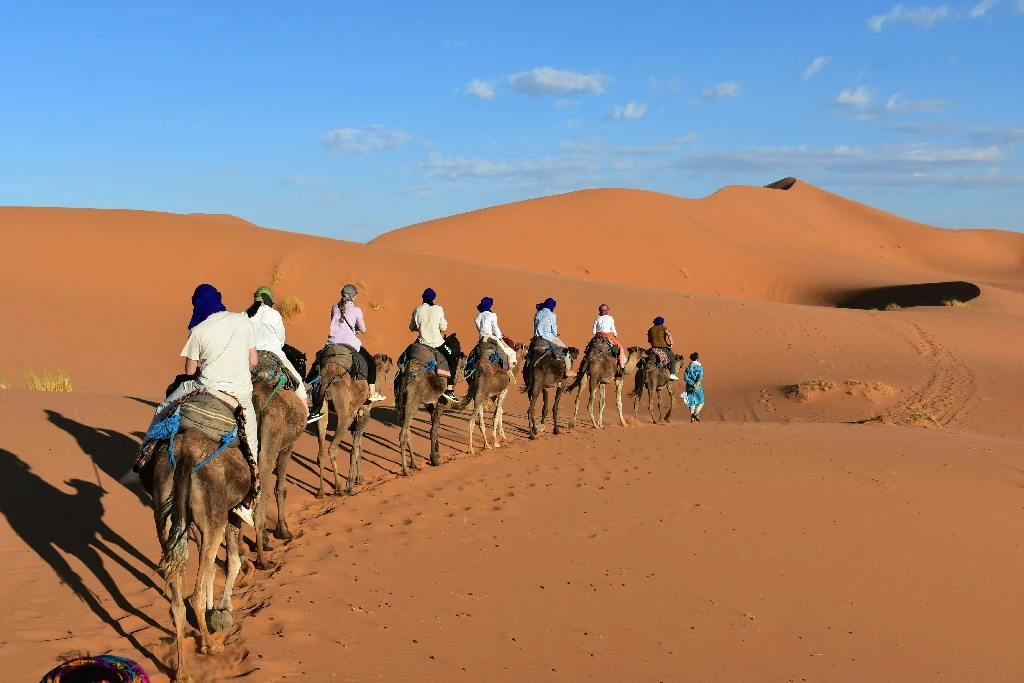 camel riding in merzouga