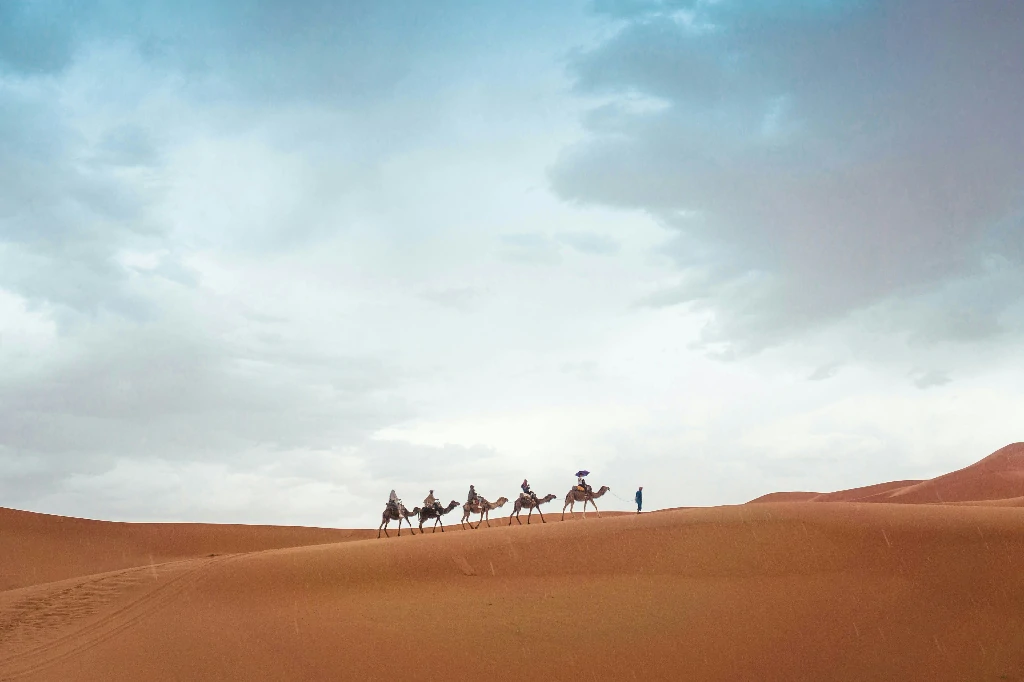 camel riding in the dunnes